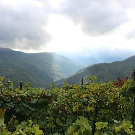 Casa Bel Tempo Appartamento Pieve di Teco